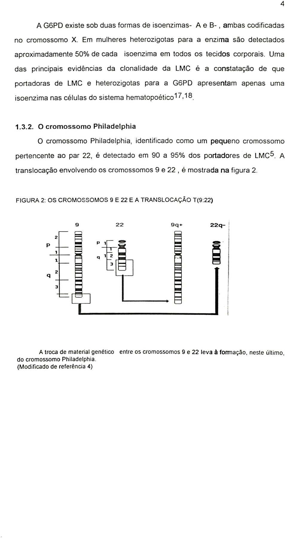 Uma das principais evidências da clonalidade da LMC é a constatação de que portadoras de LMC e heterozigotas para a G6PD apresentam apenas uma isoenzima nas células do sistema hematopoético 17, 18. 1.3.