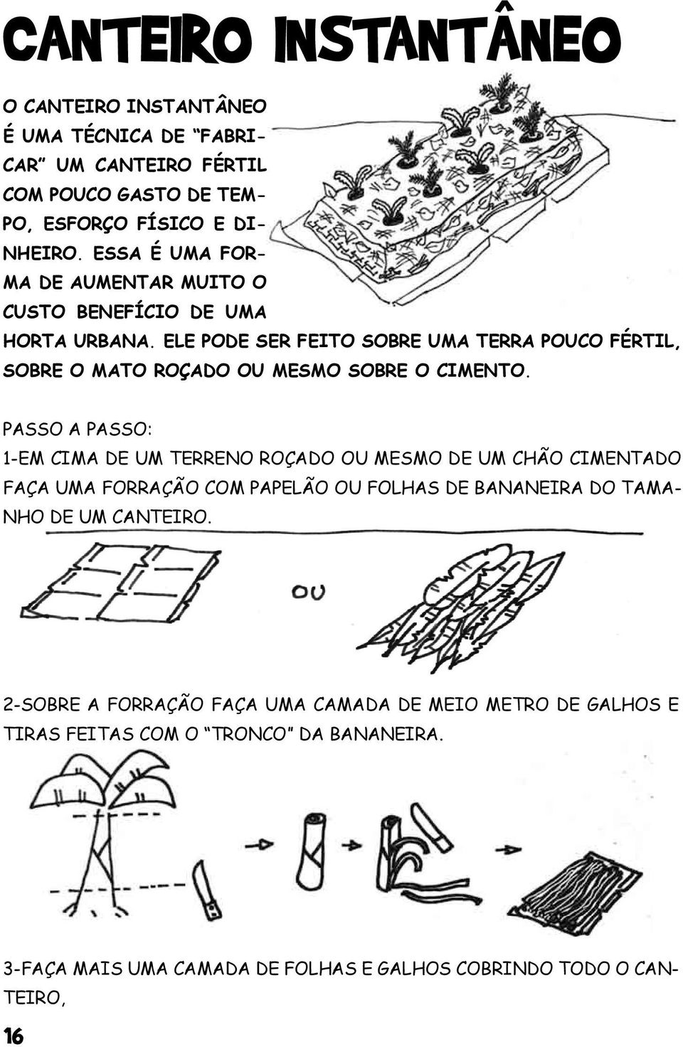 ELE PODE SER FEITO SOBRE UMA TERRA POUCO FÉRTIL, SOBRE O MATO ROÇADO OU MESMO SOBRE O CIMENTO.