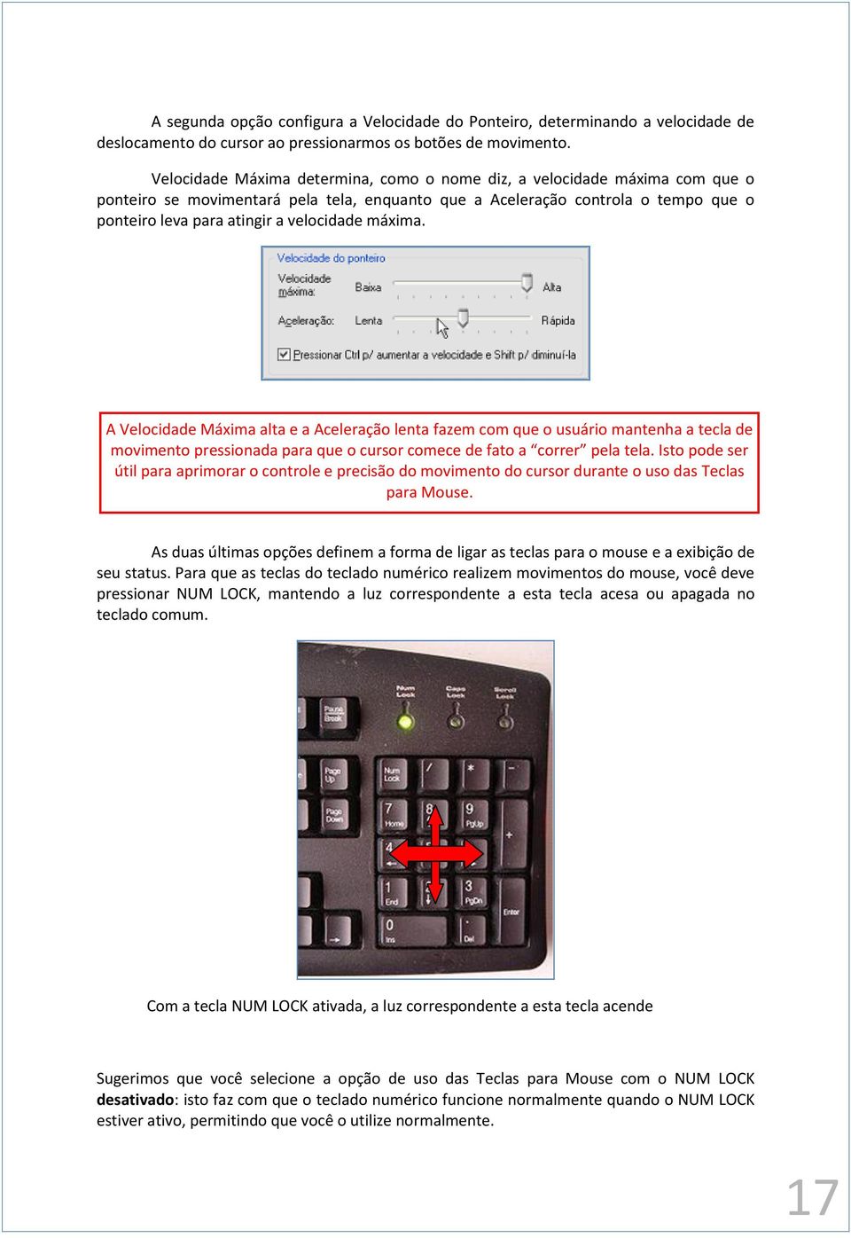 máxima. A Velocidade Máxima alta e a Aceleração lenta fazem com que o usuário mantenha a tecla de movimento pressionada para que o cursor comece de fato a correr pela tela.