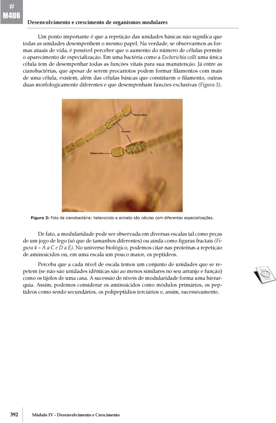 Em uma bactéria como a Escherichia colli uma única célula tem de desempenhar todas as funções vitais para sua manutenção.