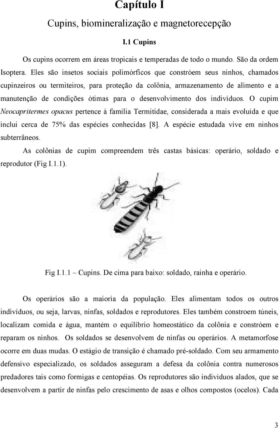 desenvolvimento dos indivíduos. O cupim Neocapritermes opacus pertence à família Termitidae, considerada a mais evoluída e que inclui cerca de 75% das espécies conhecidas [8].