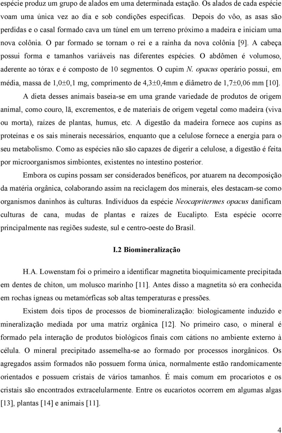 A cabeça possui forma e tamanhos variáveis nas diferentes espécies. O abdômen é volumoso, aderente ao tórax e é composto de 10 segmentos. O cupim N.