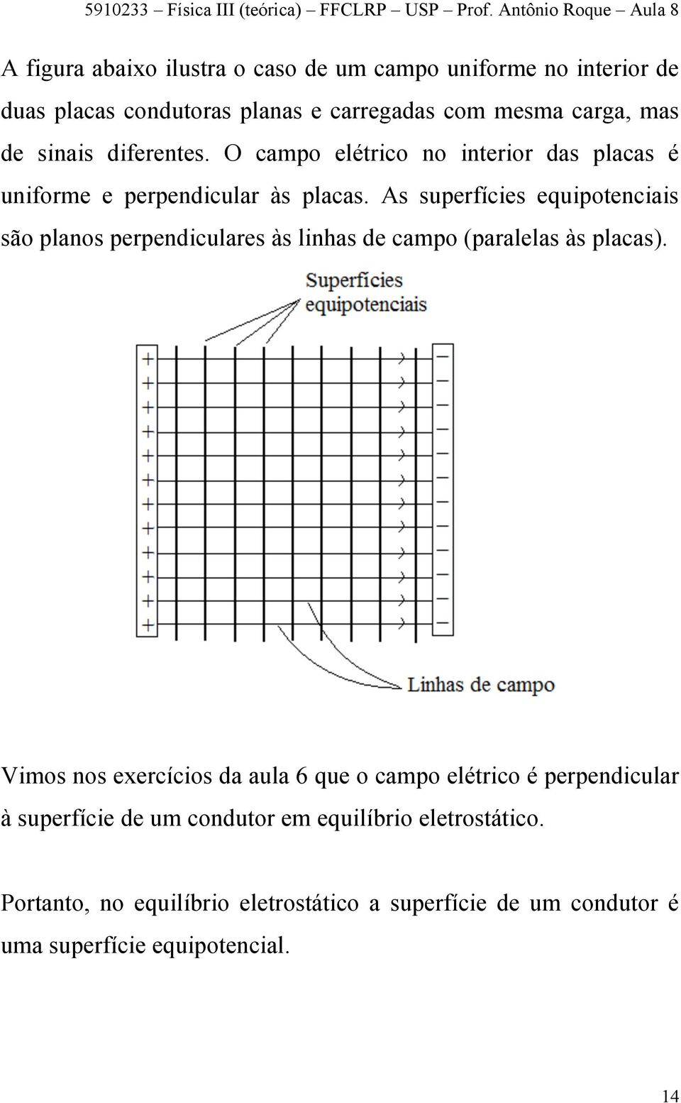 As superfícies equipotenciais são planos perpendiculares às linhas de campo (paralelas às placas).