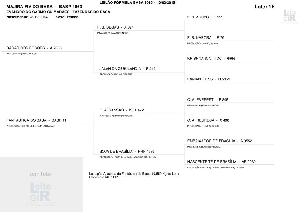 2 Kg/Embrapa/ABCGIL. FANTASTICA DO BASA - BASP 11 C. A. HEURECA - X 468 PRODUÇÃO=7489 KG DE LEITE/1ª LACTAÇÃO. PRODUÇÃO=11.450 Kg de leite. EMBAIXADOR DE BRASÍLIA - A 9552 PTA=175.5 Kg/Embrapa/ABCGIL.