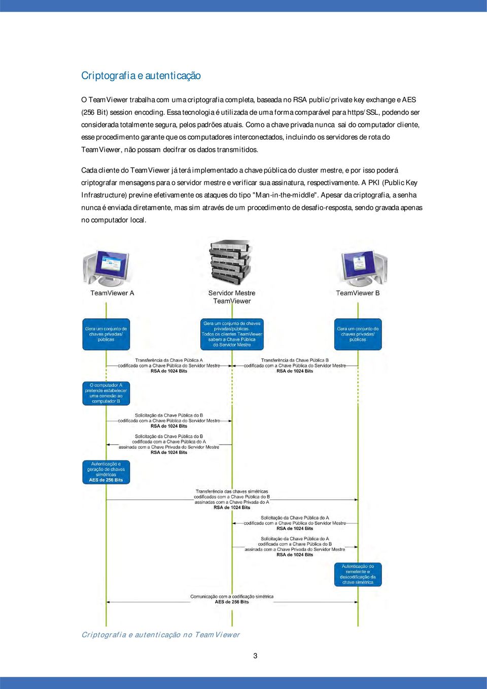 Como a chave privada nunca sai do computador cliente, esse procedimento garante que os computadores interconectados, incluindo os servidores de rota do TeamViewer, não possam decifrar os dados