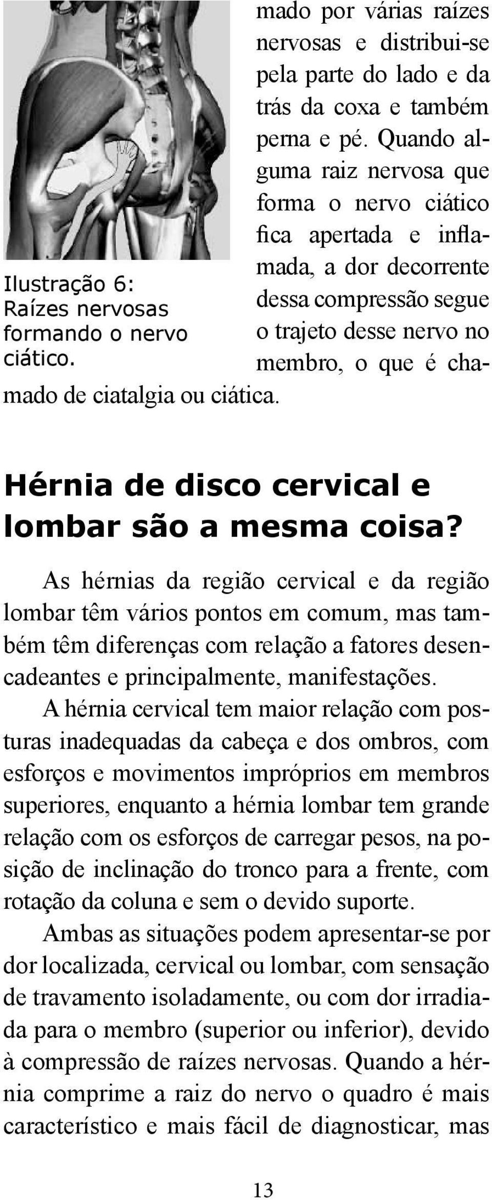 Hérnia de disco cervical e lombar são a mesma coisa?