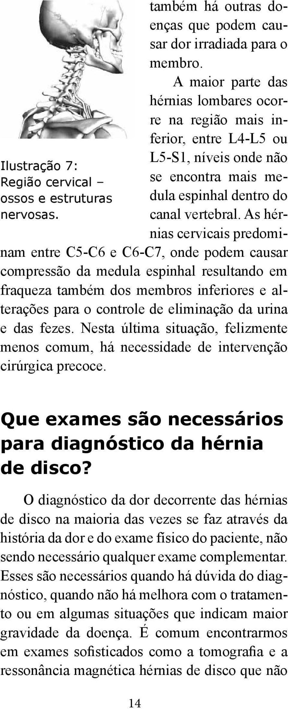 As hérnias cervicais predominam entre C5-C6 e C6-C7, onde podem causar compressão da medula espinhal resultando em fraqueza também dos membros inferiores e alterações para o controle de eliminação da