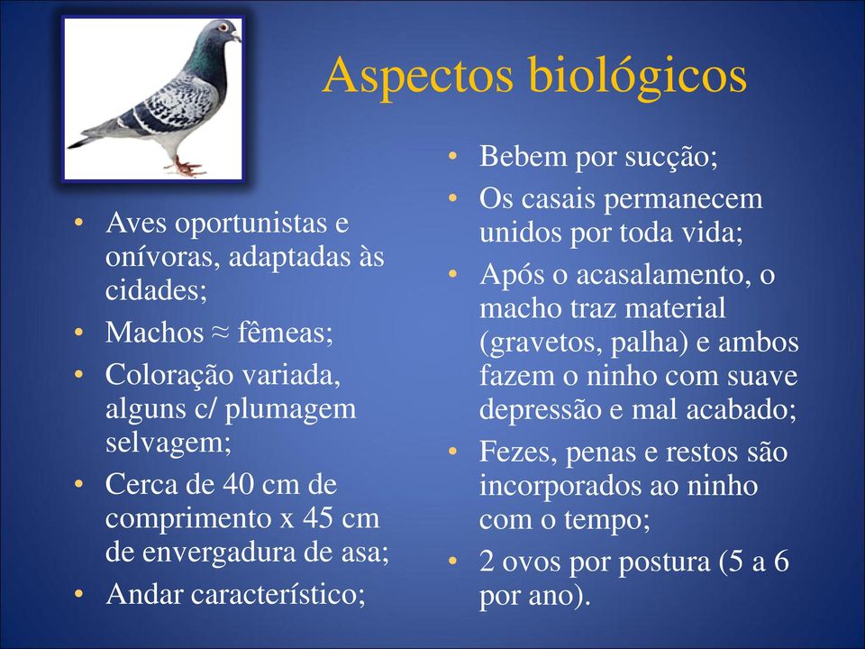 casais permanecem unidos por toda vida; Após o acasalamento, o macho traz material (gravetos, palha) e ambos fazem o ninho