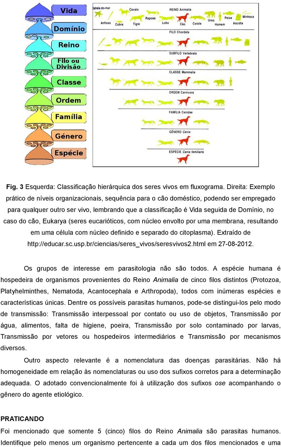 caso do cão, Eukarya (seres eucarióticos, com núcleo envolto por uma membrana, resultando em uma célula com núcleo definido e separado do citoplasma). Extraído de http://educar.sc.usp.