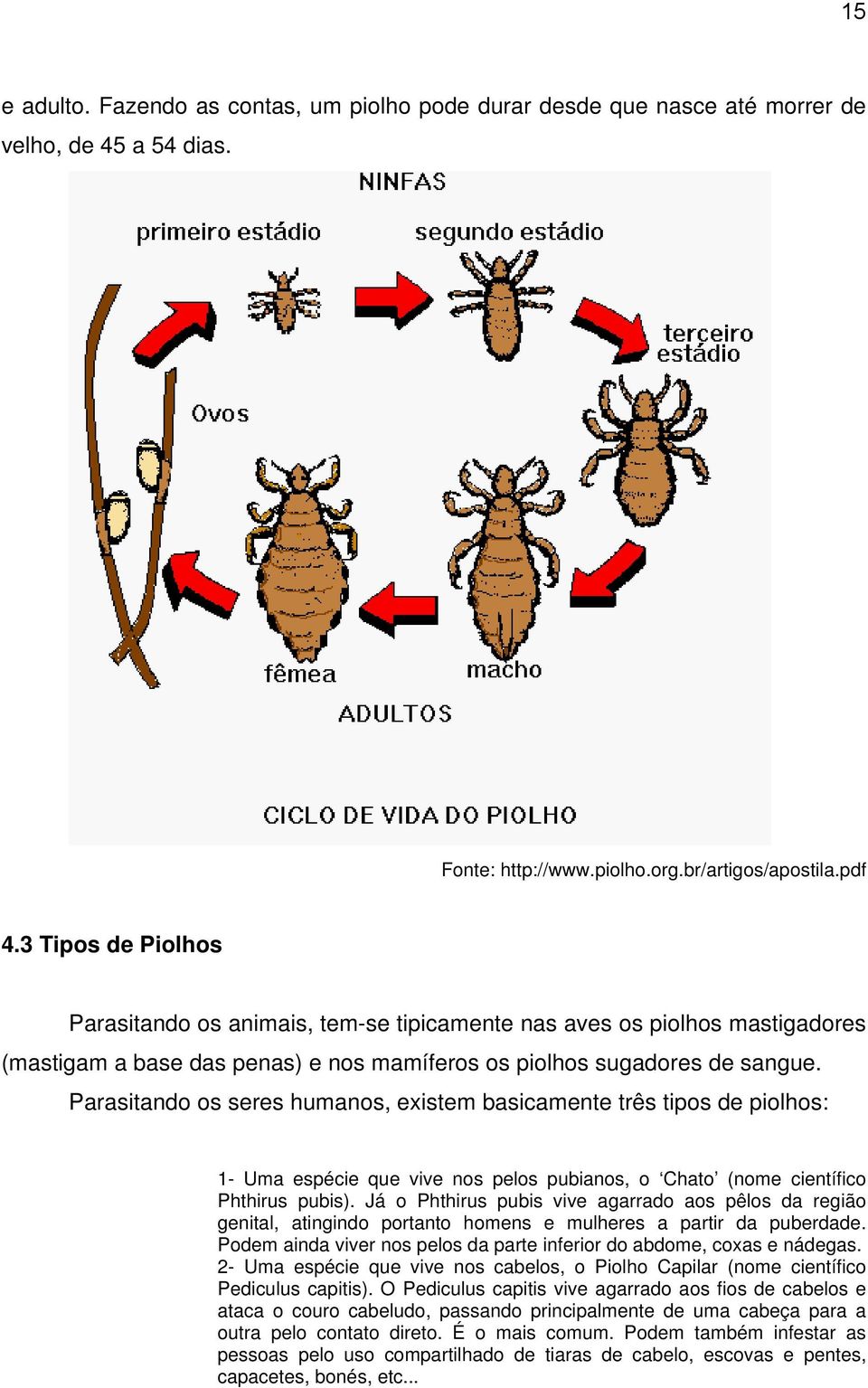 Parasitando os seres humanos, existem basicamente três tipos de piolhos: 1- Uma espécie que vive nos pelos pubianos, o Chato (nome científico Phthirus pubis).