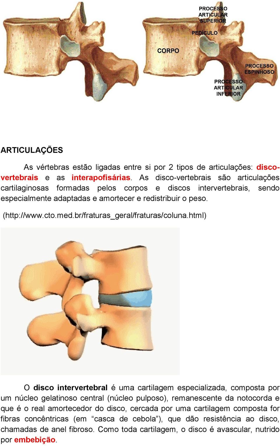 med.br/fraturas_geral/fraturas/coluna.