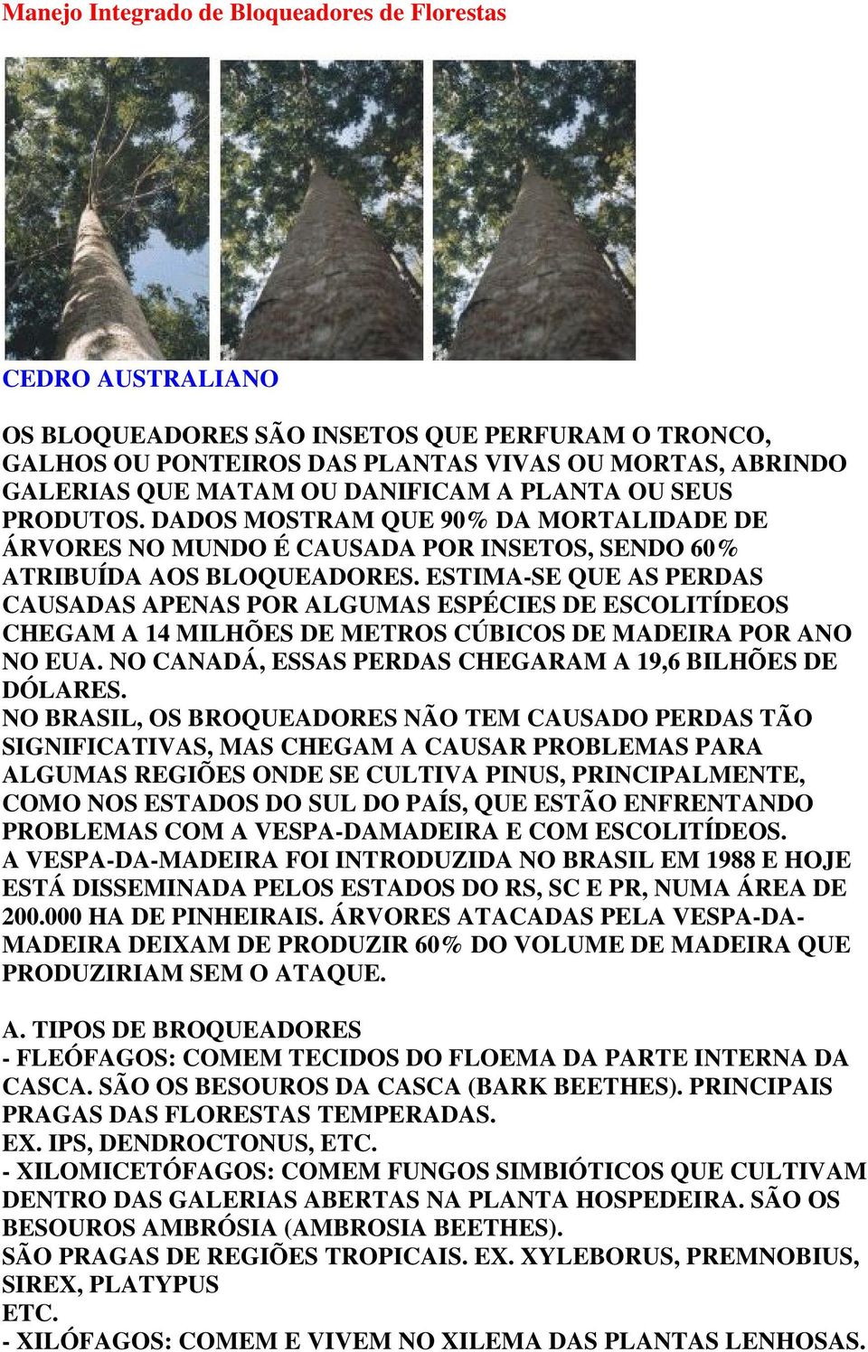 ESTIMA-SE QUE AS PERDAS CAUSADAS APENAS POR ALGUMAS ESPÉCIES DE ESCOLITÍDEOS CHEGAM A 14 MILHÕES DE METROS CÚBICOS DE MADEIRA POR ANO NO EUA.