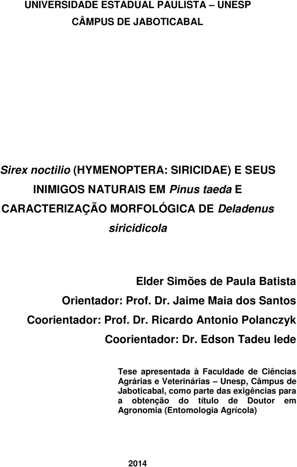 Jaime Maia dos Santos Coorientador: Prof. Dr. Ricardo Antonio Polanczyk Coorientador: Dr.