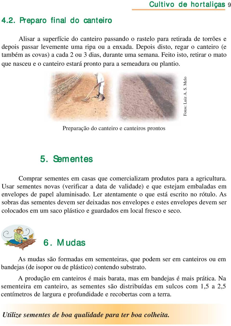 S. Melo Preparação do canteiro e canteiros prontos 5. Sementes Comprar sementes em casas que comercializam produtos para a agricultura.