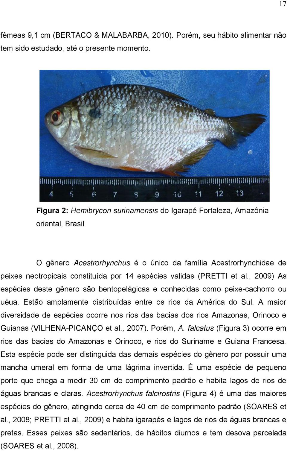 O gênero Acestrorhynchus é o único da família Acestrorhynchidae de peixes neotropicais constituída por 14 espécies validas (PRETTI et al.