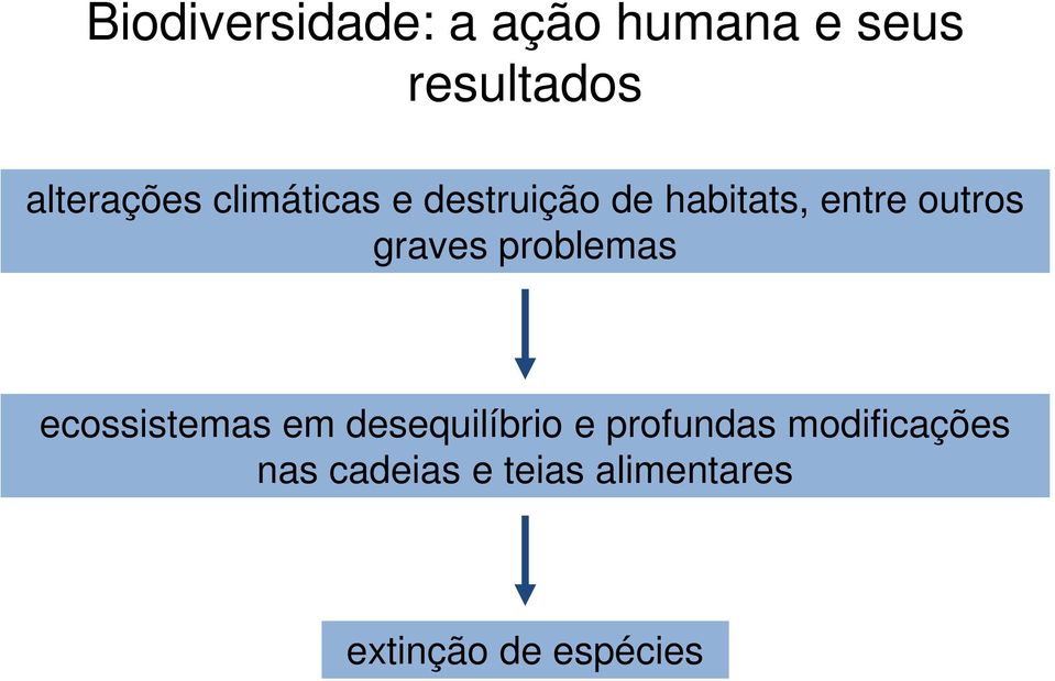 problemas ecossistemas em desequilíbrio e profundas