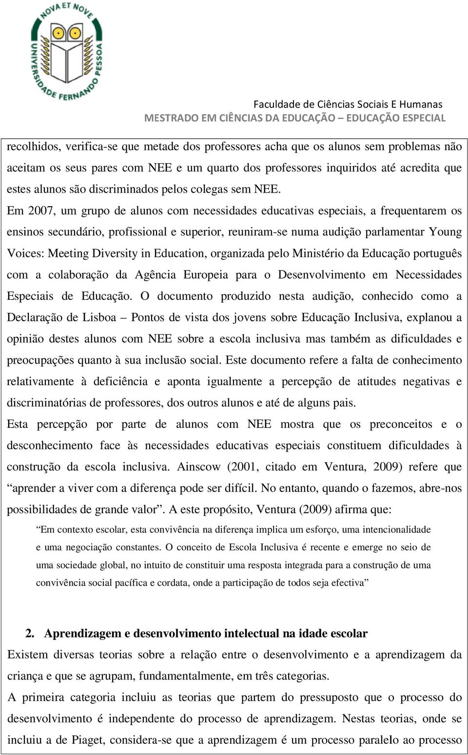 Em 2007, um grupo de alunos com necessidades educativas especiais, a frequentarem os ensinos secundário, profissional e superior, reuniram-se numa audição parlamentar Young Voices: Meeting Diversity