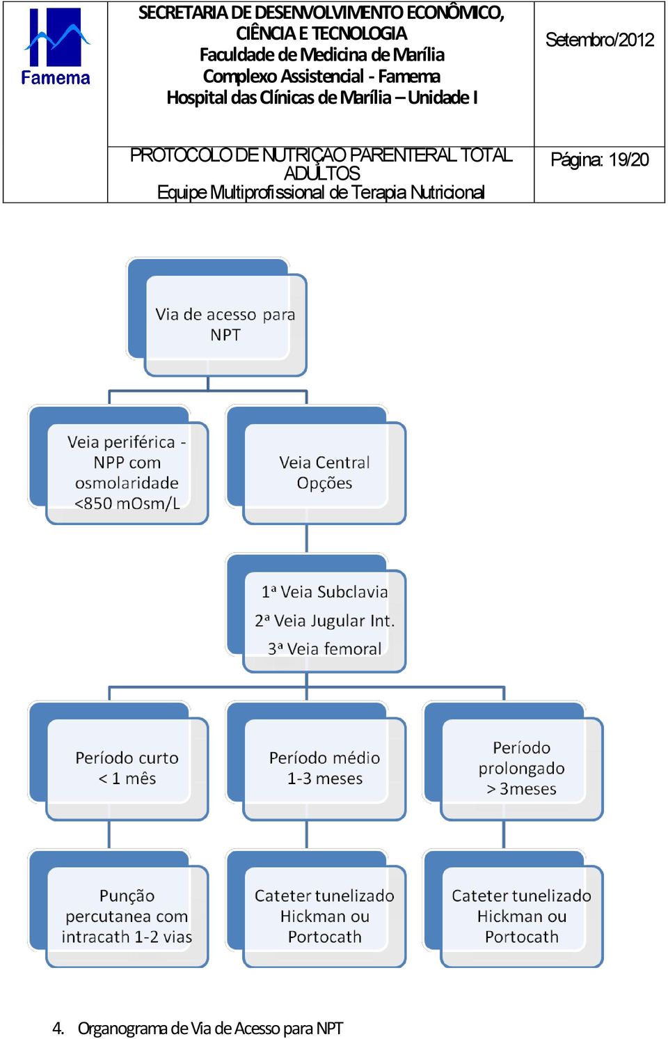 Organograma