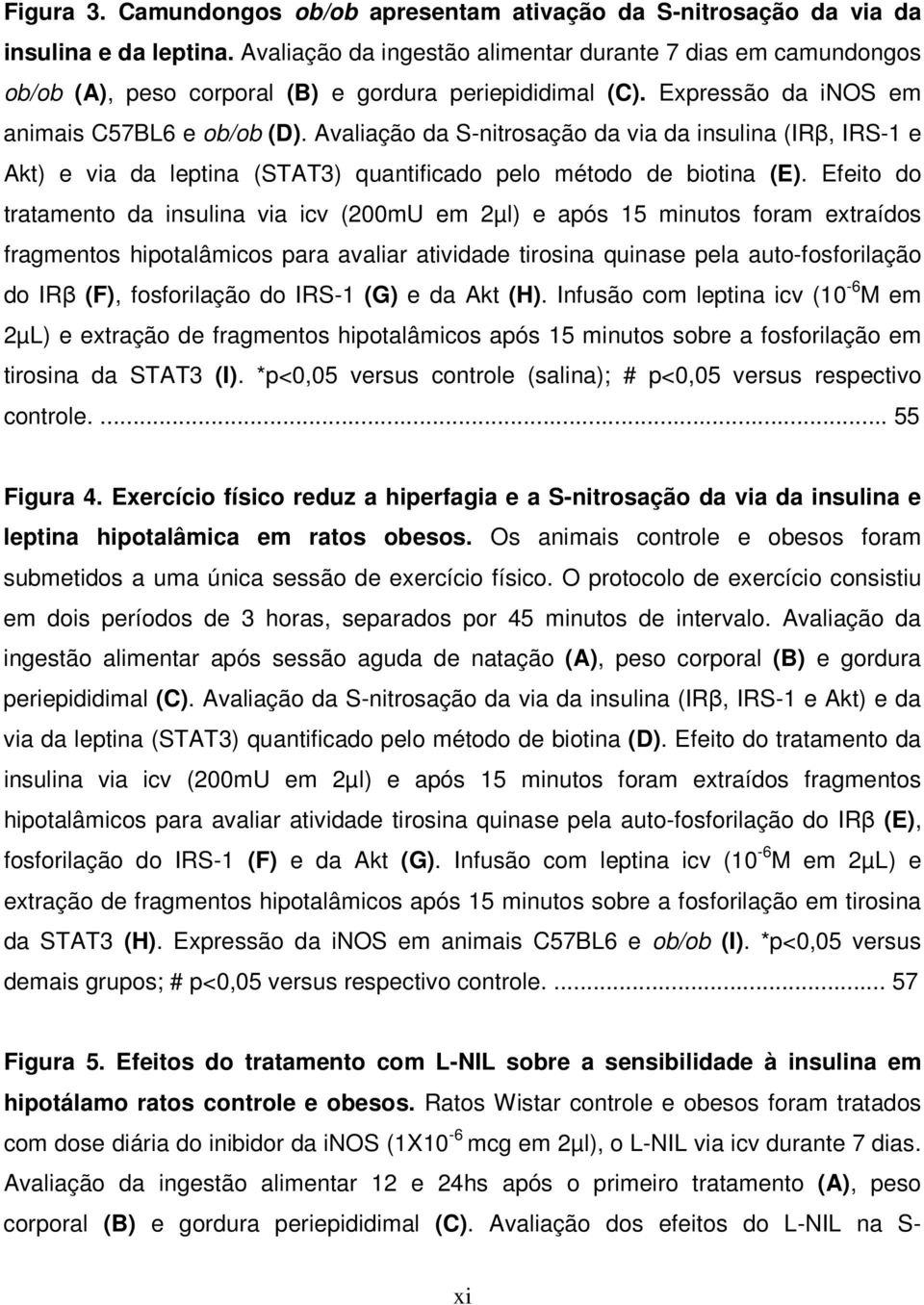 Avaliação da S-nitrosação da via da insulina (IRβ, IRS-1 e Akt) e via da leptina (STAT3) quantificado pelo método de biotina (E).