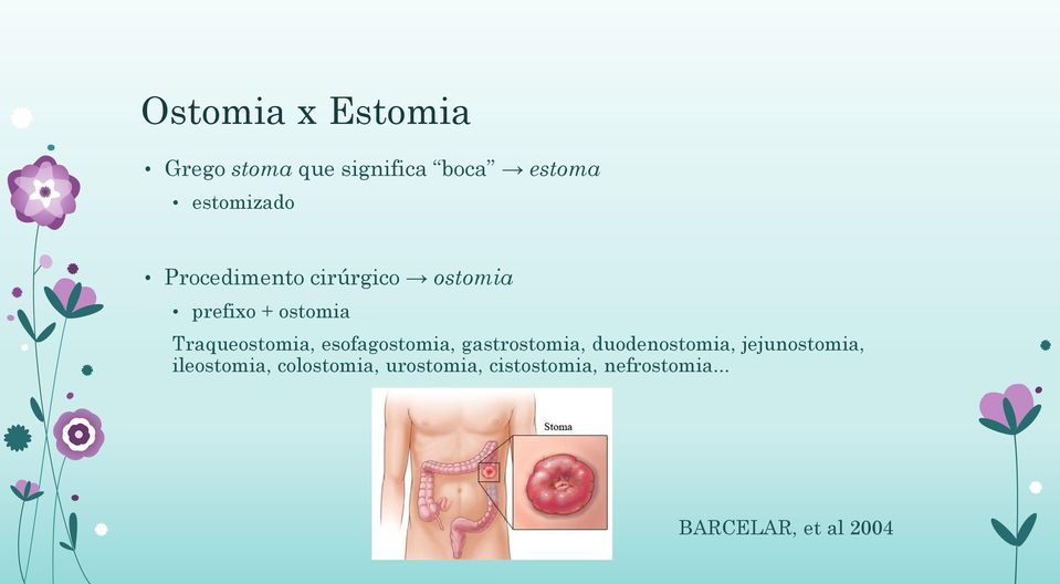 esofagostomia, gastrostomia, duodenostomia, jejunostomia,