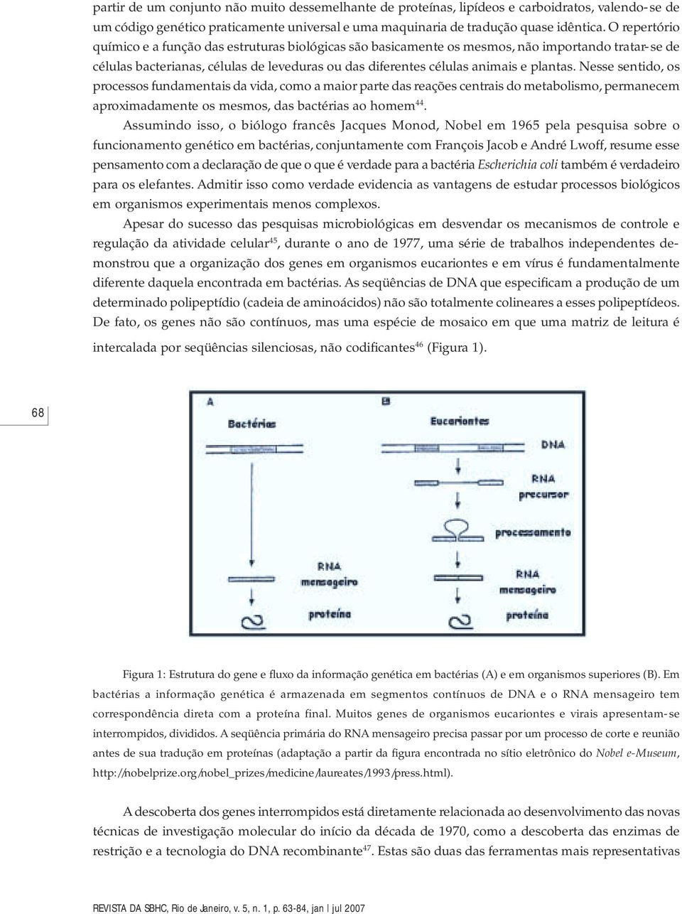 Nesse sentido, os processos fundamentais da vida, como a maior parte das reações centrais do metabolismo, permanecem aproximadamente os mesmos, das bactérias ao homem 44.