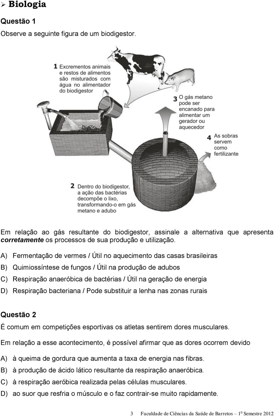 A) Fermentação de vermes / Útil no aquecimento das casas brasileiras B) Quimiossíntese de fungos / Útil na produção de adubos C) Respiração anaeróbica de bactérias / Útil na geração de energia D)