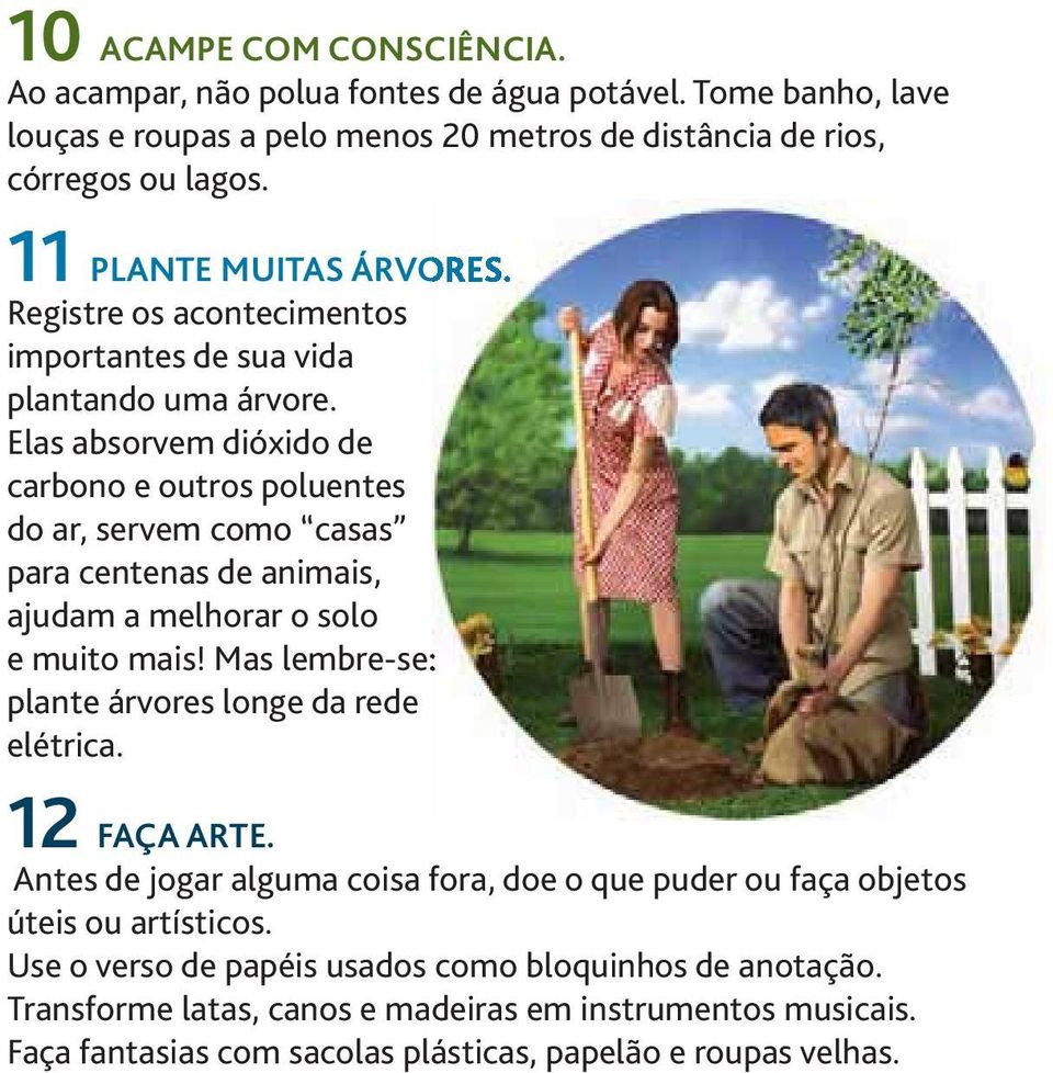 Elas absorvem dióxido de carbono e outros poluentes do ar, servem como casas para centenas de animais, ajudam a melhorar o solo e muito mais!