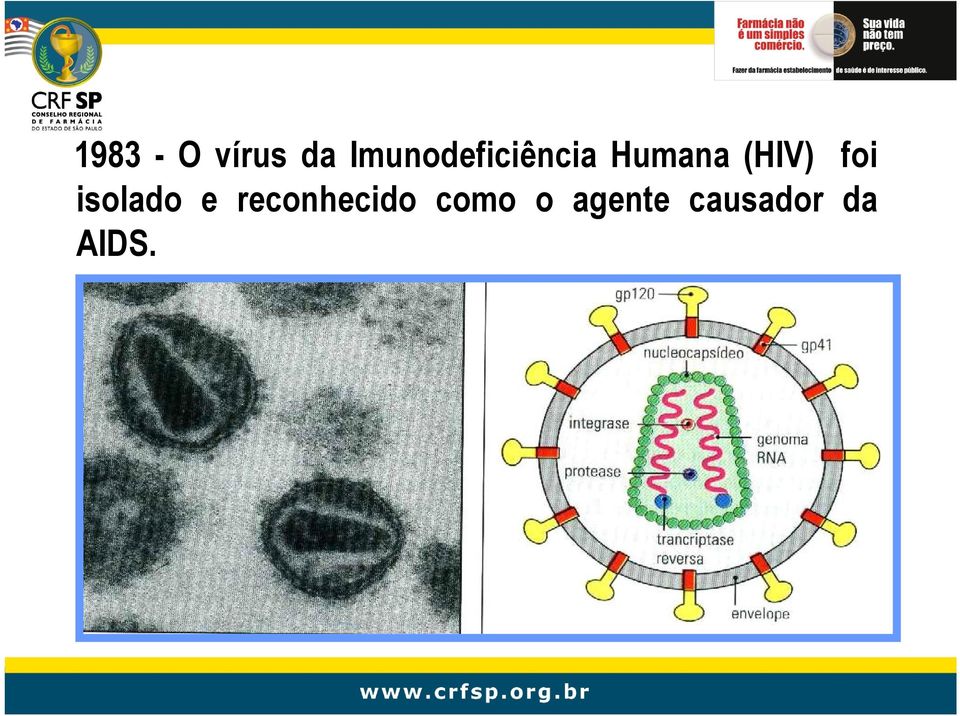 (HIV) foi isolado e