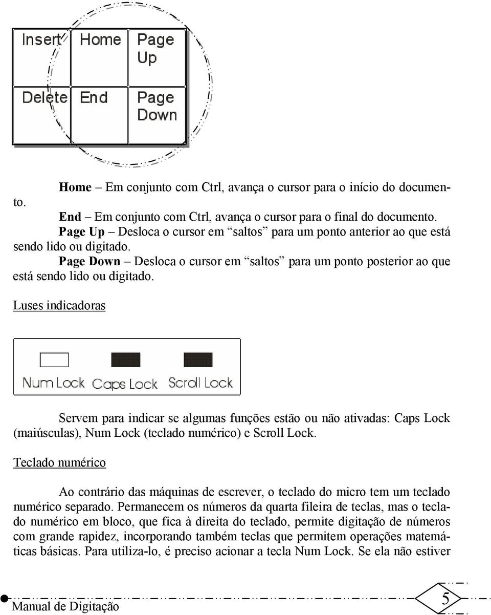 Luses indicadoras Servem para indicar se algumas funções estão ou não ativadas: Caps Lock (maiúsculas), Num Lock (teclado numérico) e Scroll Lock.