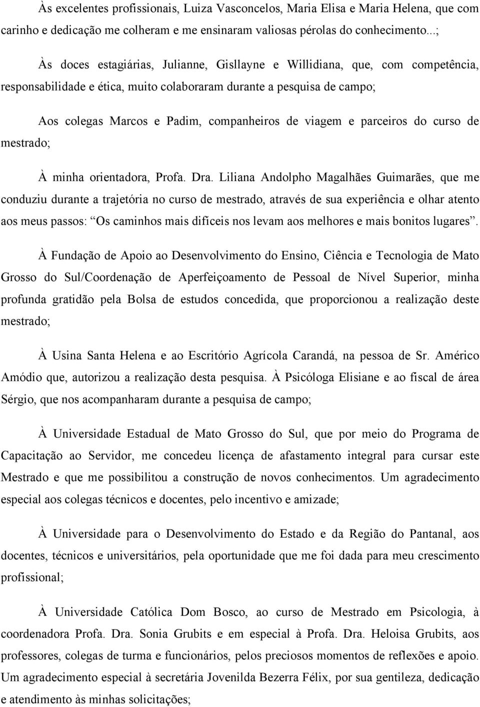 viagem e parceiros do curso de mestrado; À minha orientadora, Profa. Dra.