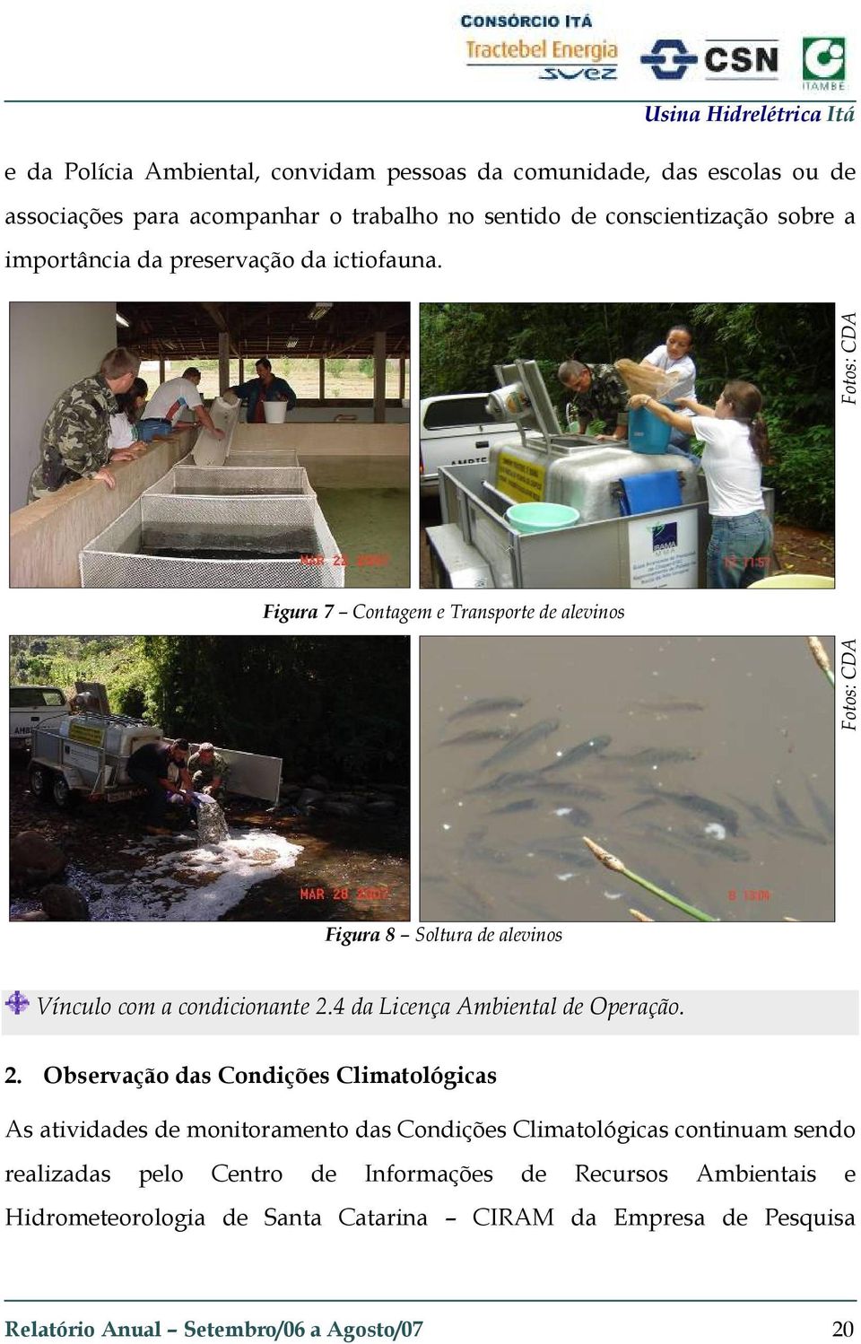 Figura 7 Contagem e Transporte de alevinos Fotos: CDA Fotos: CDA Figura 8 Soltura de alevinos Vínculo com a condicionante 2.4 da Licença Ambiental de Operação.