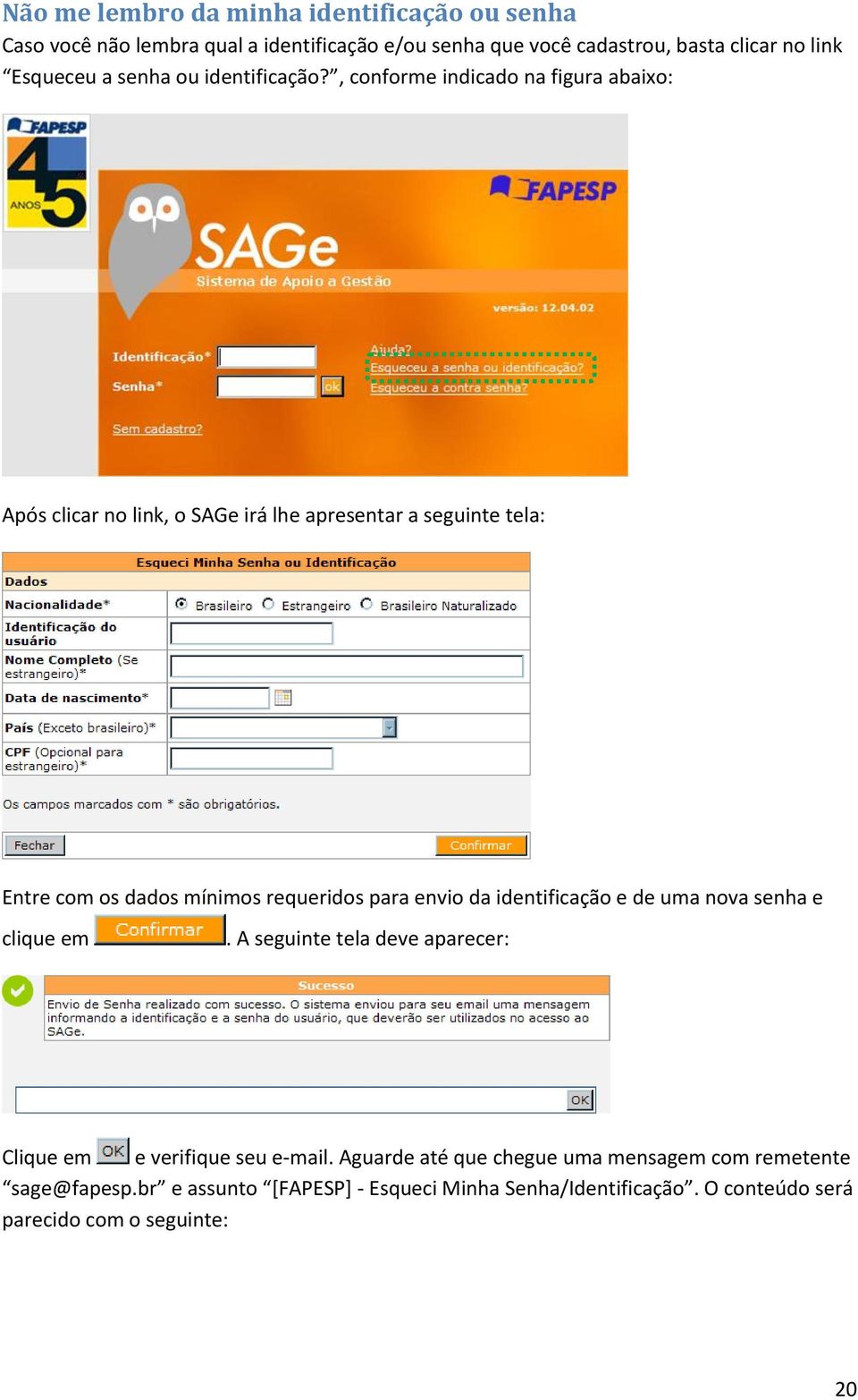 , conforme indicado na figura abaixo: Após clicar no link, o SAGe irá lhe apresentar a seguinte tela: Entre com os dados mínimos requeridos para envio