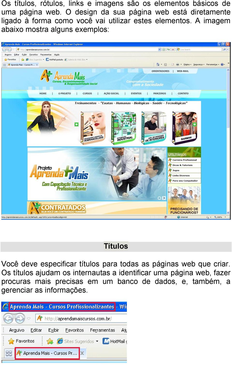 A imagem abaixo mostra alguns exemplos: Títulos Você deve especificar títulos para todas as páginas web que