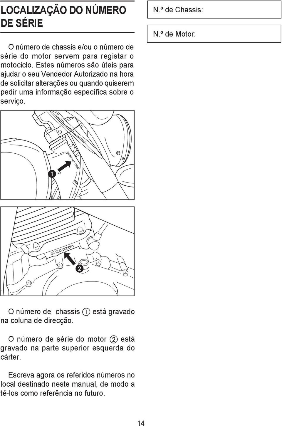 específica sobre o serviço. N.º de Chassis: N.º de Motor: O número de chassis está gravado na coluna de direcção.