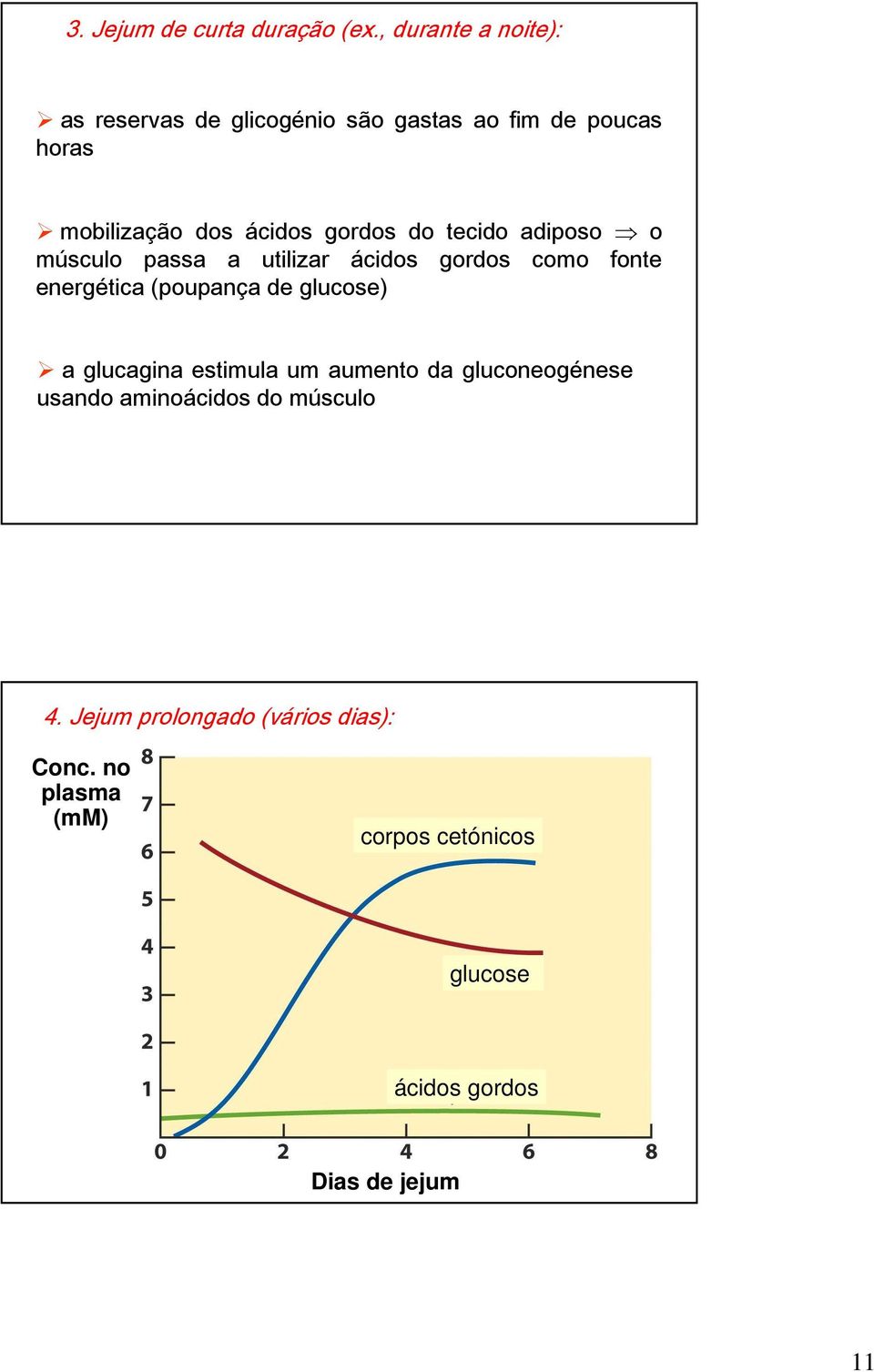 gordos do tecido adiposo o músculo passa a utilizar ácidos gordos como fonte energética (poupança de