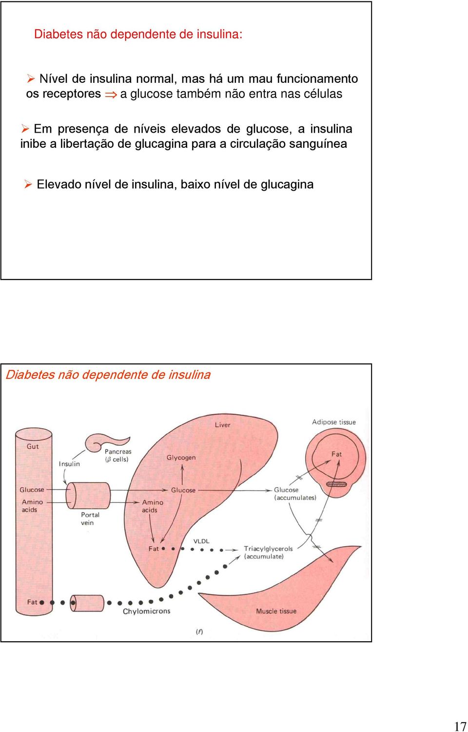 níveis elevados de glucose, a insulina inibe a libertação de glucagina para a