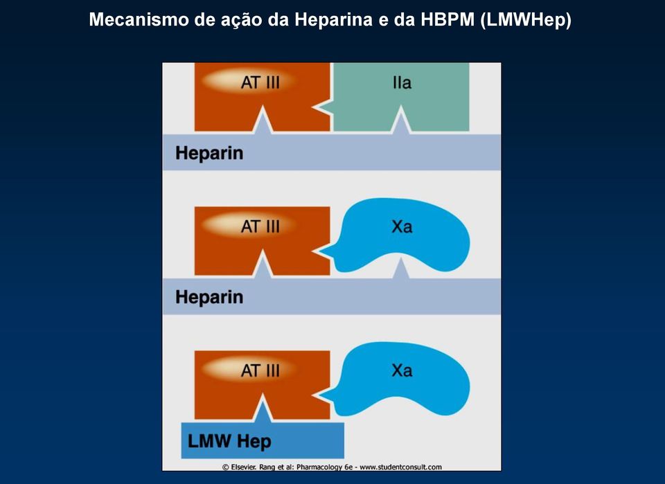 Heparina e