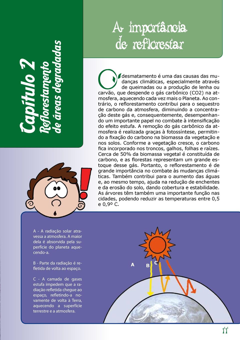 Ao contrário, o reflorestamento contribui para o sequestro de carbono da atmosfera, diminuindo a concentração deste gás e, consequentemente, desempenhando um importante papel no combate à