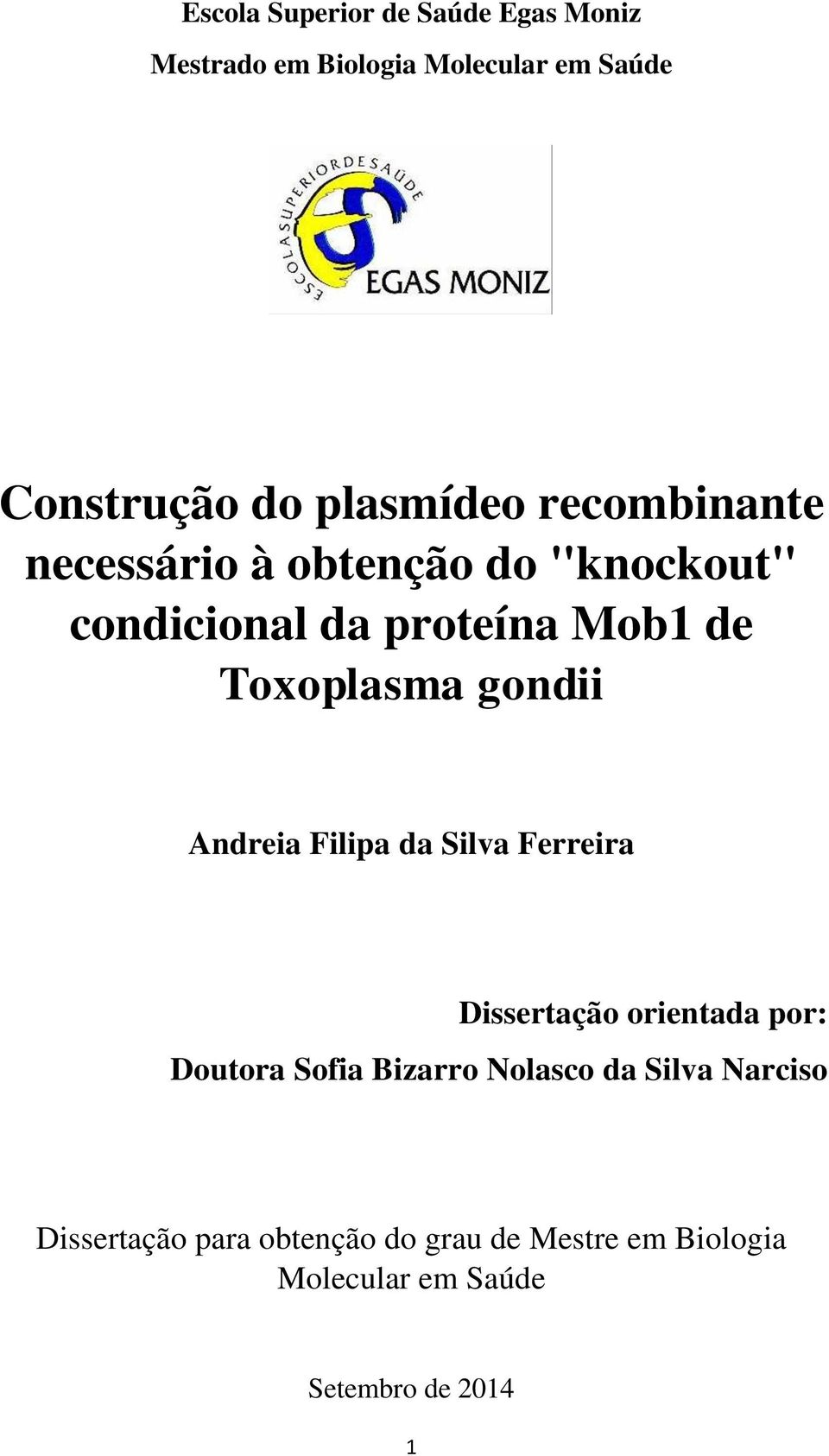 Andreia Filipa da Silva Ferreira Dissertação orientada por: Doutora Sofia Bizarro Nolasco da Silva