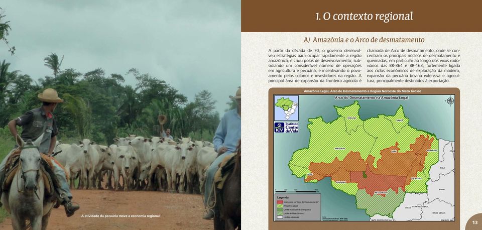 A principal área de expansão da fronteira agrícola é chamada de Arco de desmatamento, onde se concentram os principais núcleos de desmatamento e queimadas, em particular ao longo dos eixos