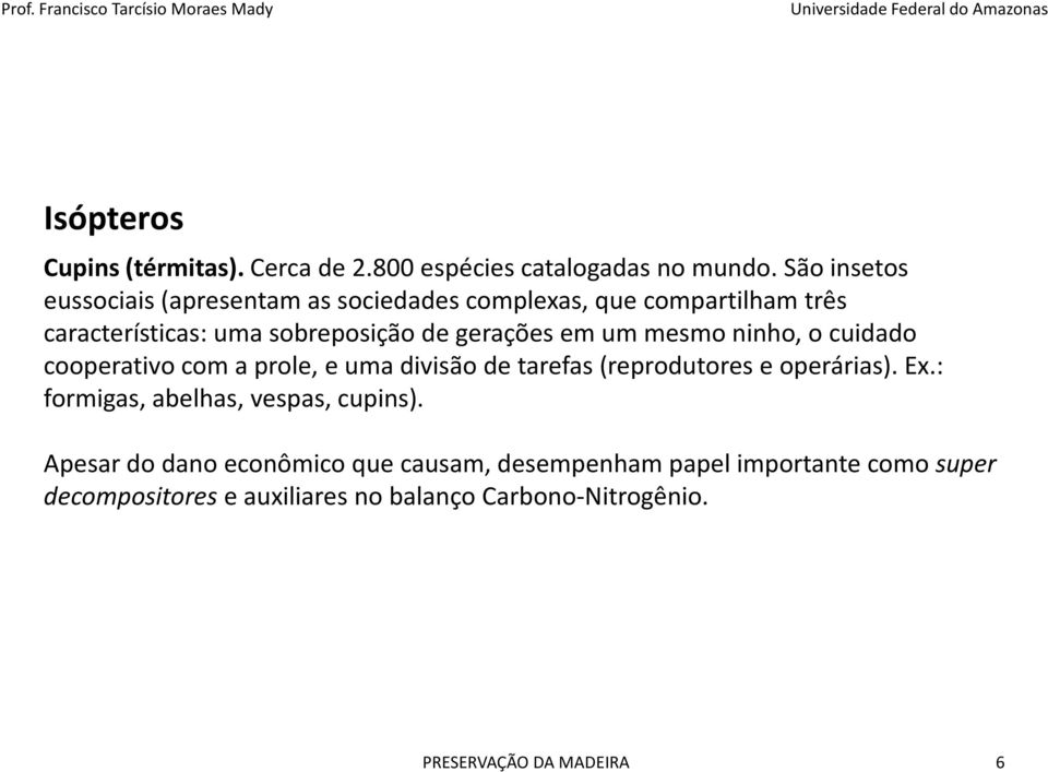 gerações em um mesmo ninho, o cuidado cooperativo com a prole, e uma divisão de tarefas (reprodutores e operárias). Ex.