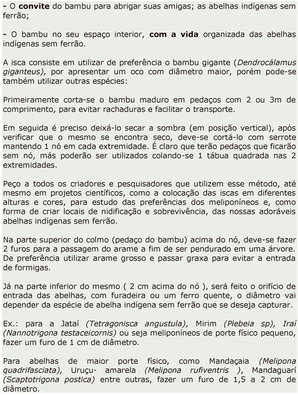 bambu maduro em pedaços com 2 ou 3m de comprimento, para evitar rachaduras e facilitar o transporte.