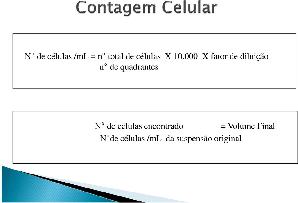 quadrantes N de células encontrado =