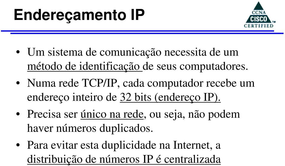 Numa rede TCP/IP, cada computador recebe um endereço inteiro de 32 bits (endereço IP).