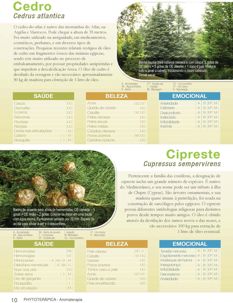 Pesquisas recentes relatam vestígios de óleo de cedro em fragmentos ósseos das múmias egípcias, sendo este muito utilizado no processo de embalsamamento, por possuir propriedades antipútridas e que