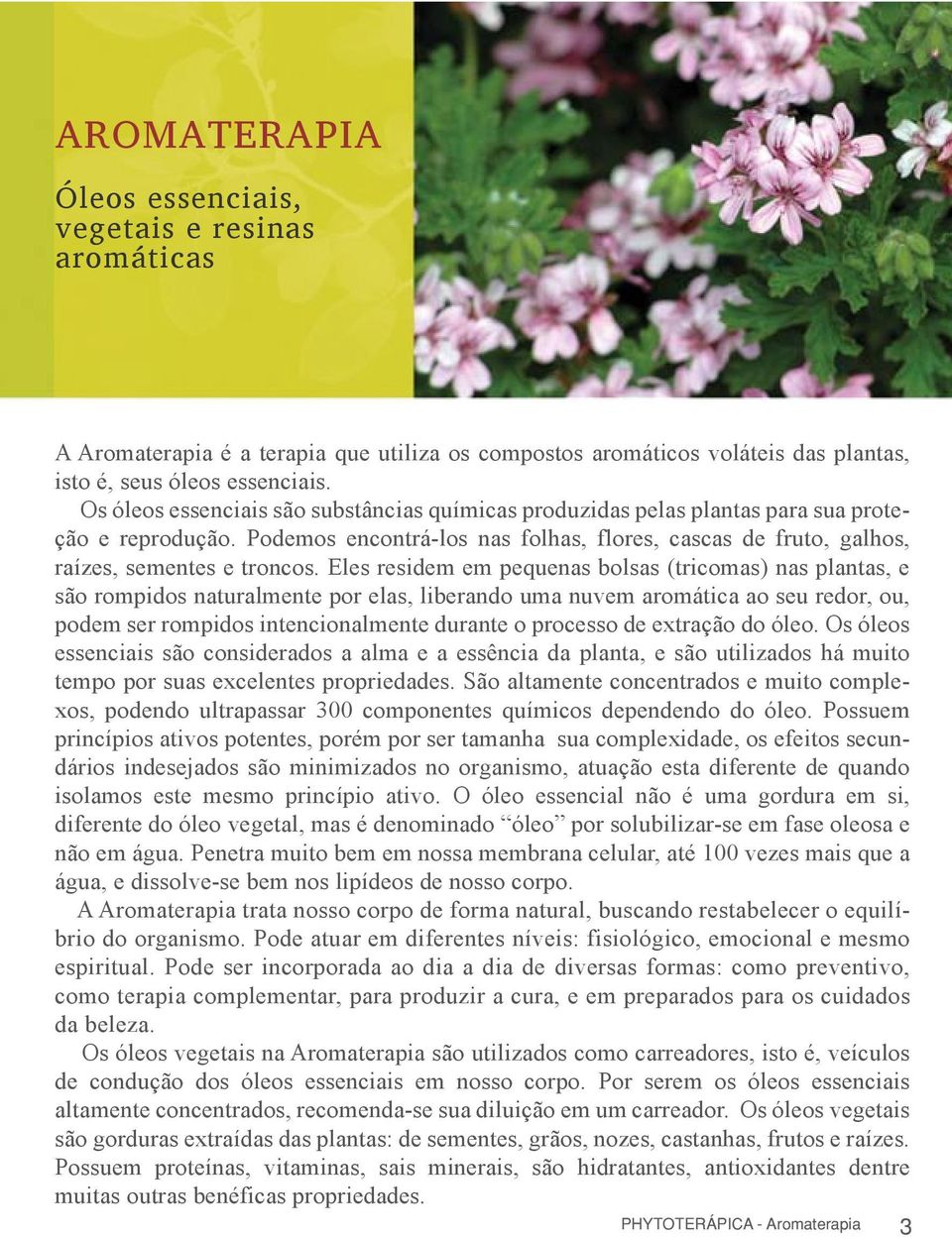 Eles residem em pequenas bolsas (tricomas) nas plantas, e são rompidos naturalmente por elas, liberando uma nuvem aromática ao seu redor, ou, podem ser rompidos intencionalmente durante o processo de