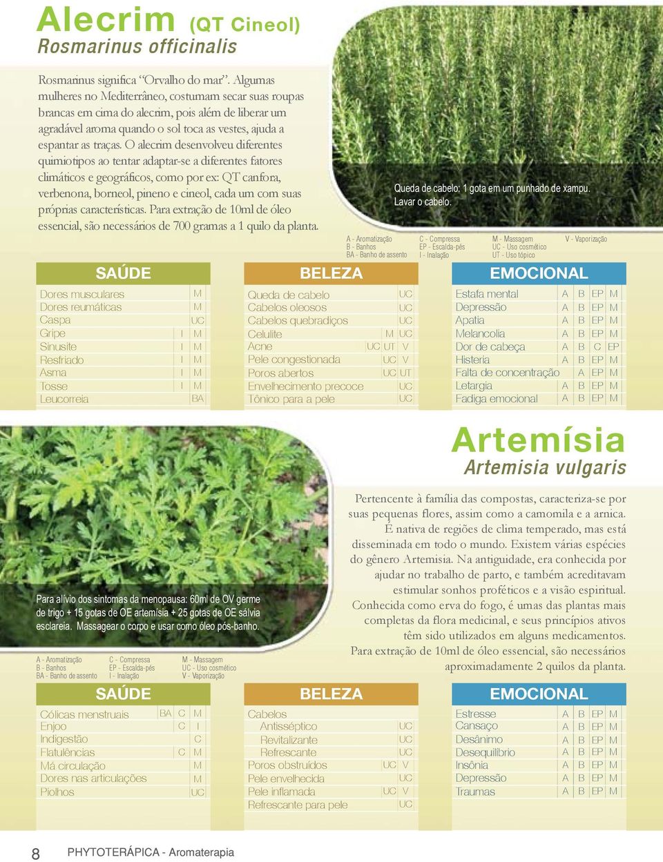 O alecrim desenvolveu diferentes quimiotipos ao tentar adaptar-se a diferentes fatores climáticos e geográficos, como por ex: QT canfora, verbenona, borneol, pineno e cineol, cada um com suas