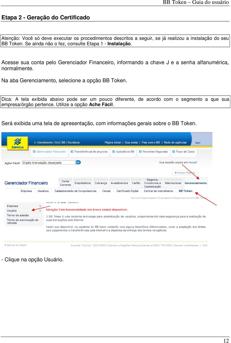 Acesse sua conta pelo Gerenciador Financeiro, informando a chave J e a senha alfanumérica, normalmente.