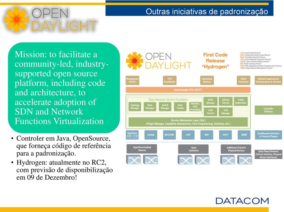 Network Functions Virtualization Controler em Java, OpenSource, que forneça código de