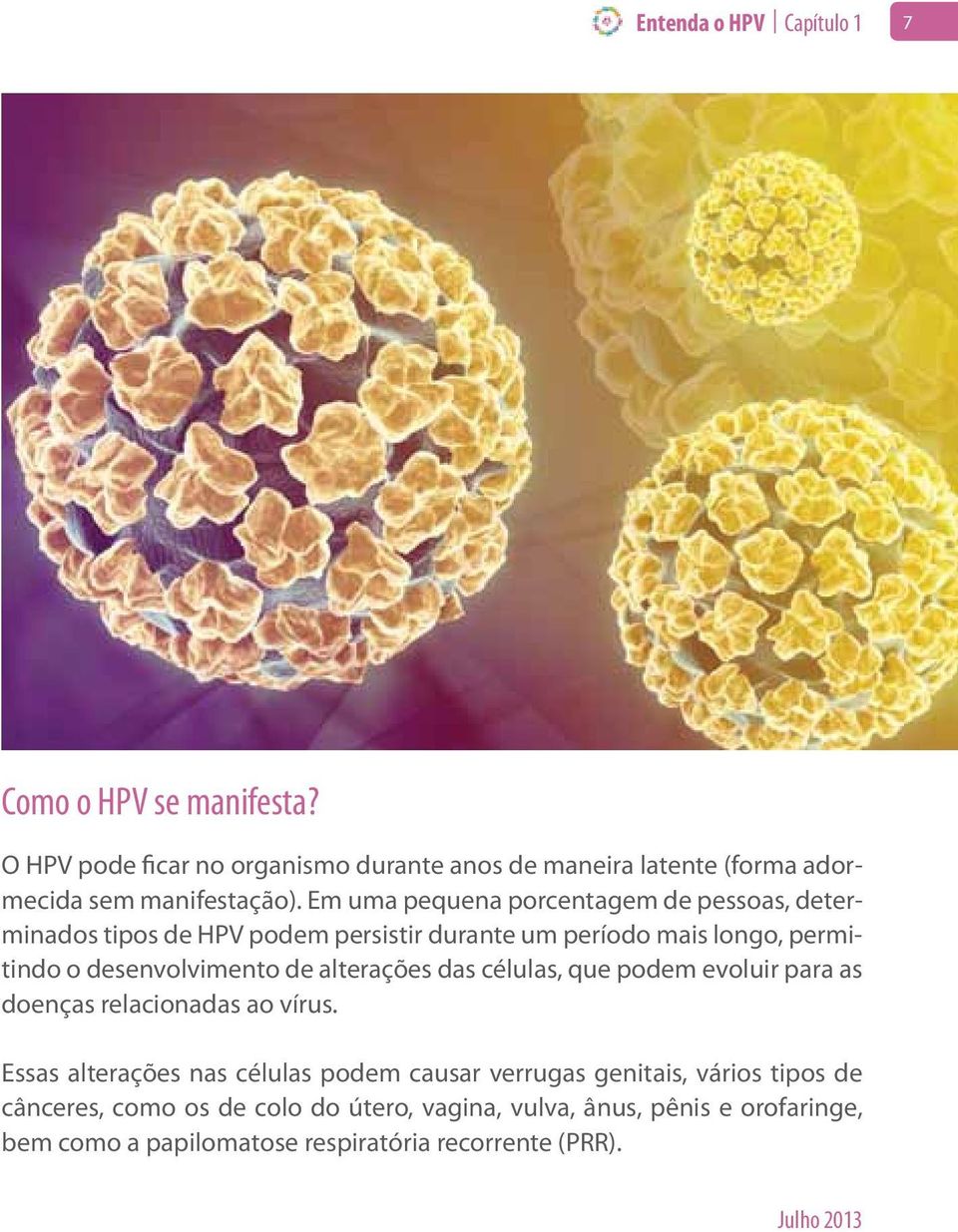 Em uma pequena porcentagem de pessoas, determinados tipos de HPV podem persistir durante um período mais longo, permitindo o desenvolvimento de